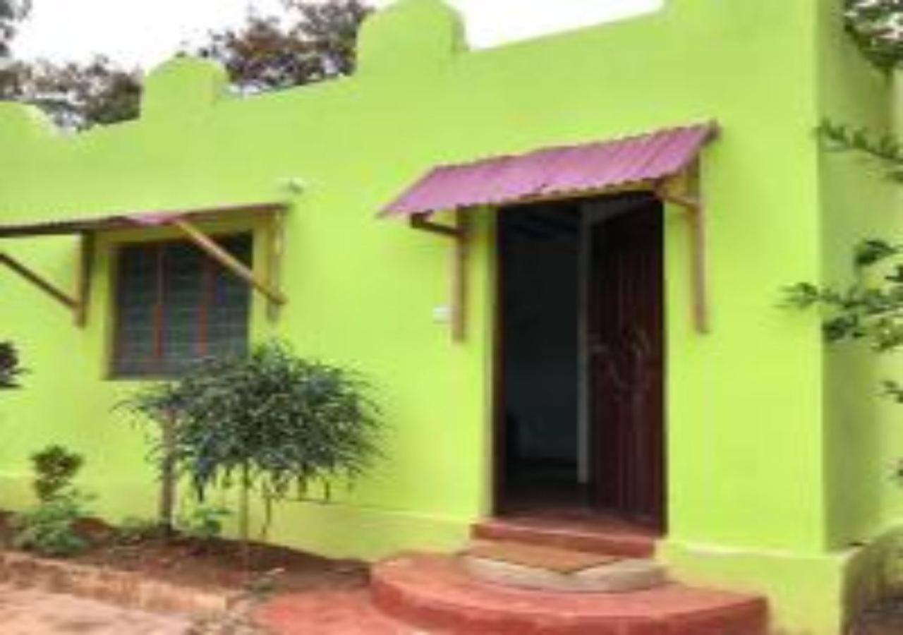 Magharibi House Daire Nungwi Dış mekan fotoğraf